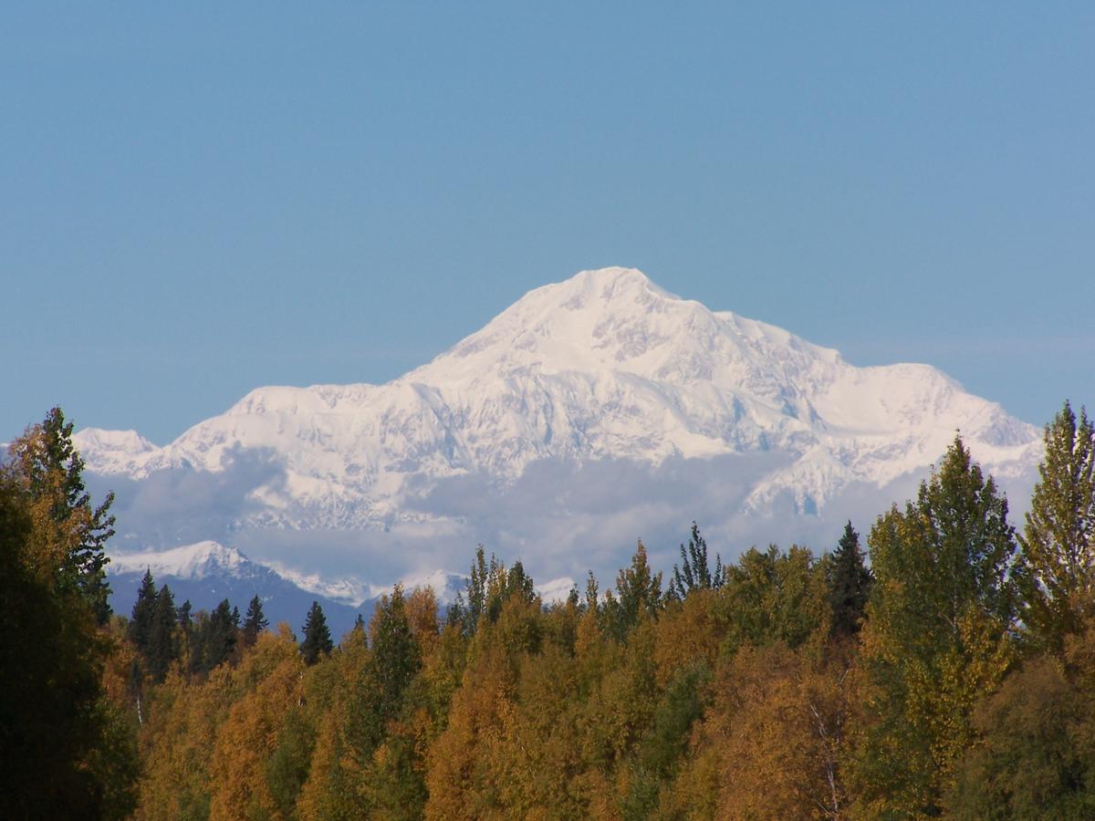 Denali Primrose Bed & Breakfast Healy Εξωτερικό φωτογραφία