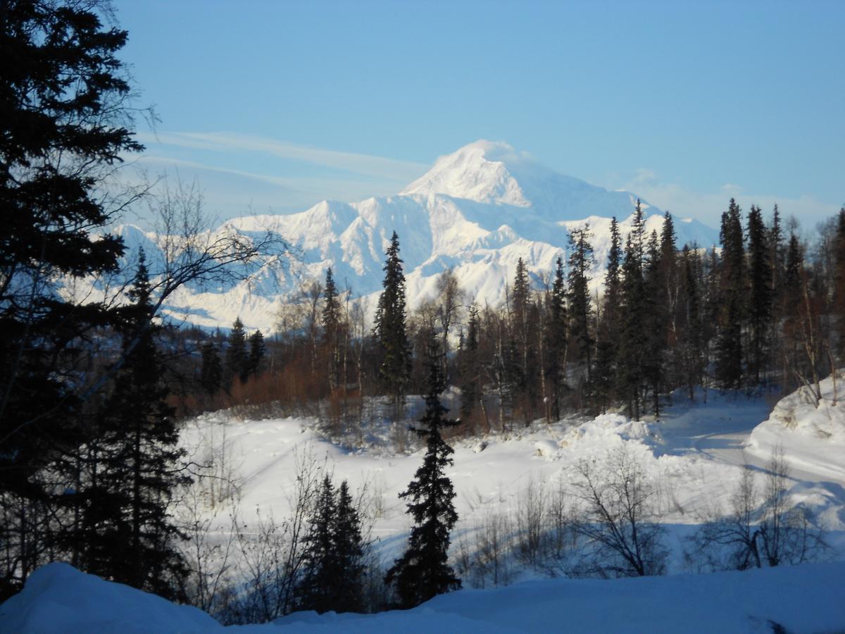 Denali Primrose Bed & Breakfast Healy Εξωτερικό φωτογραφία