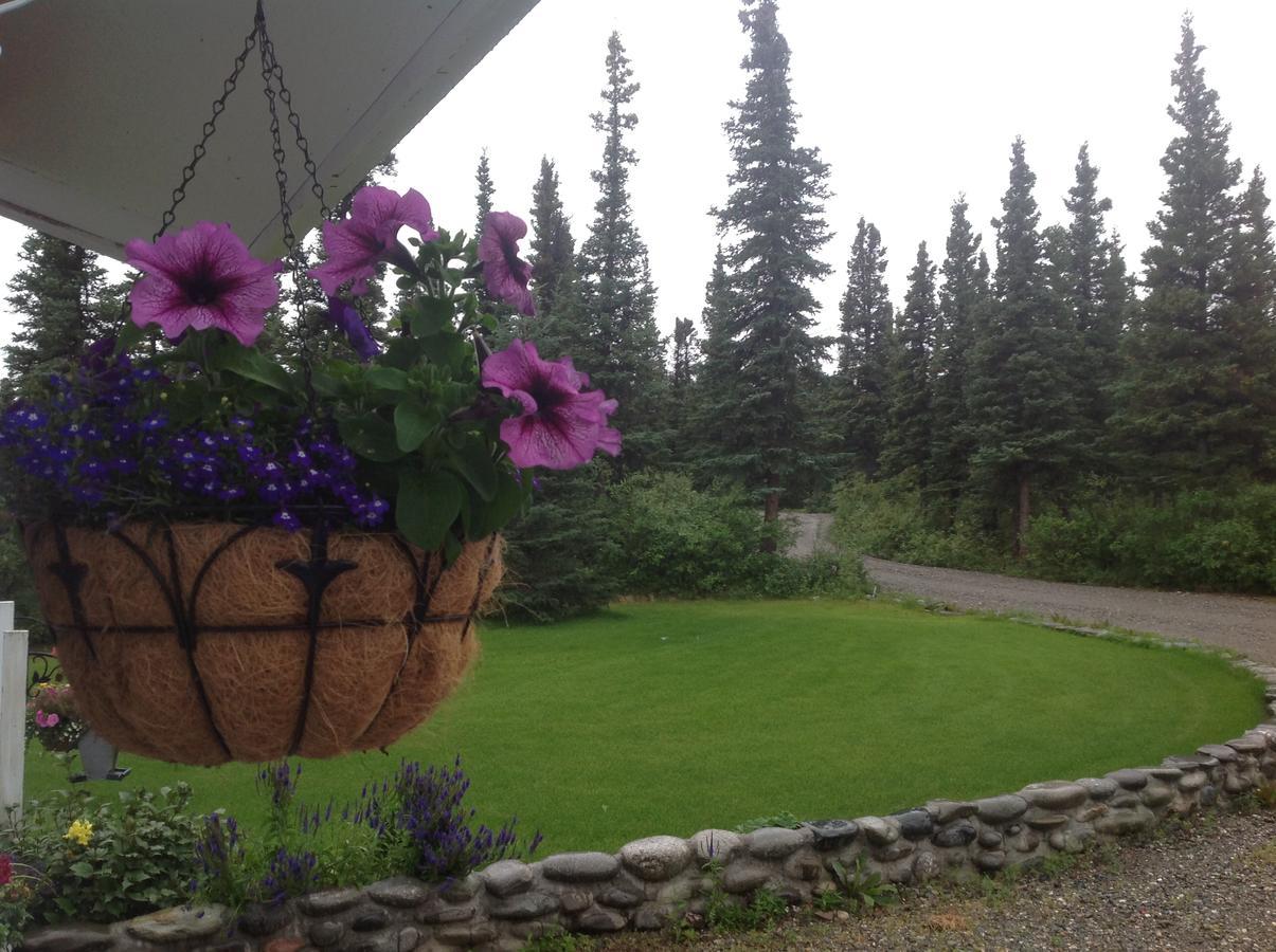 Denali Primrose Bed & Breakfast Healy Εξωτερικό φωτογραφία
