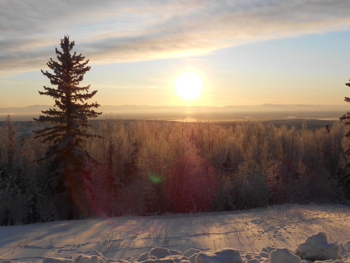 Denali Primrose Bed & Breakfast Healy Εξωτερικό φωτογραφία