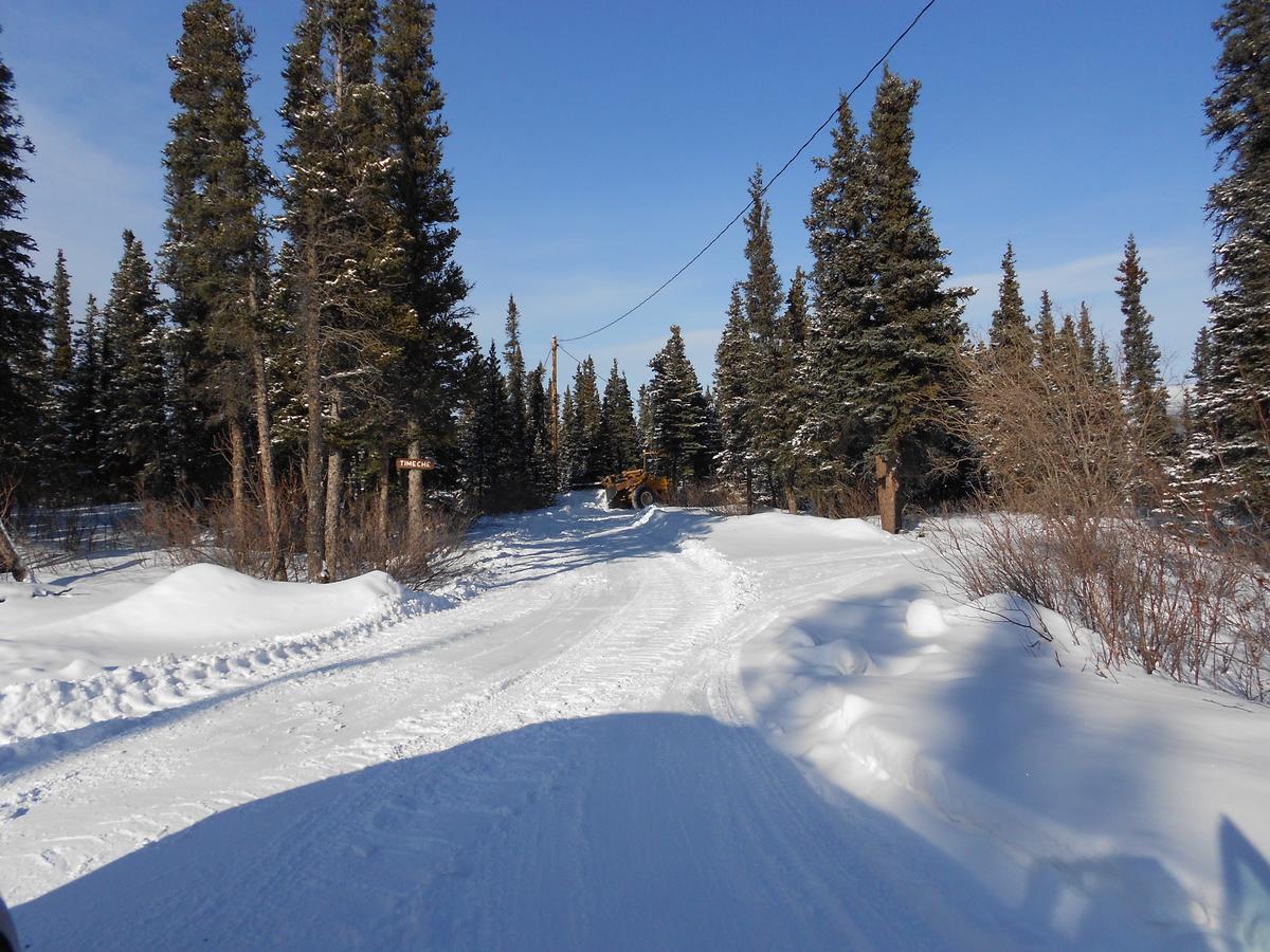 Denali Primrose Bed & Breakfast Healy Εξωτερικό φωτογραφία