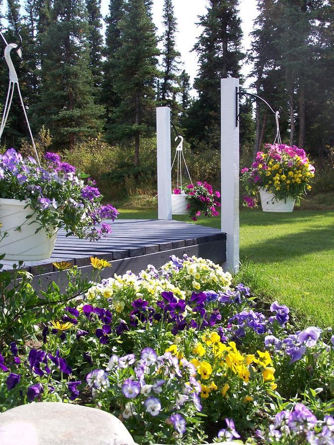 Denali Primrose Bed & Breakfast Healy Εξωτερικό φωτογραφία